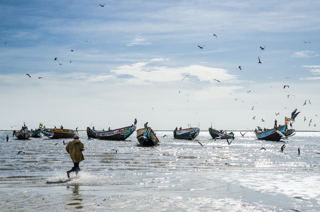 Fin de año en Senegal