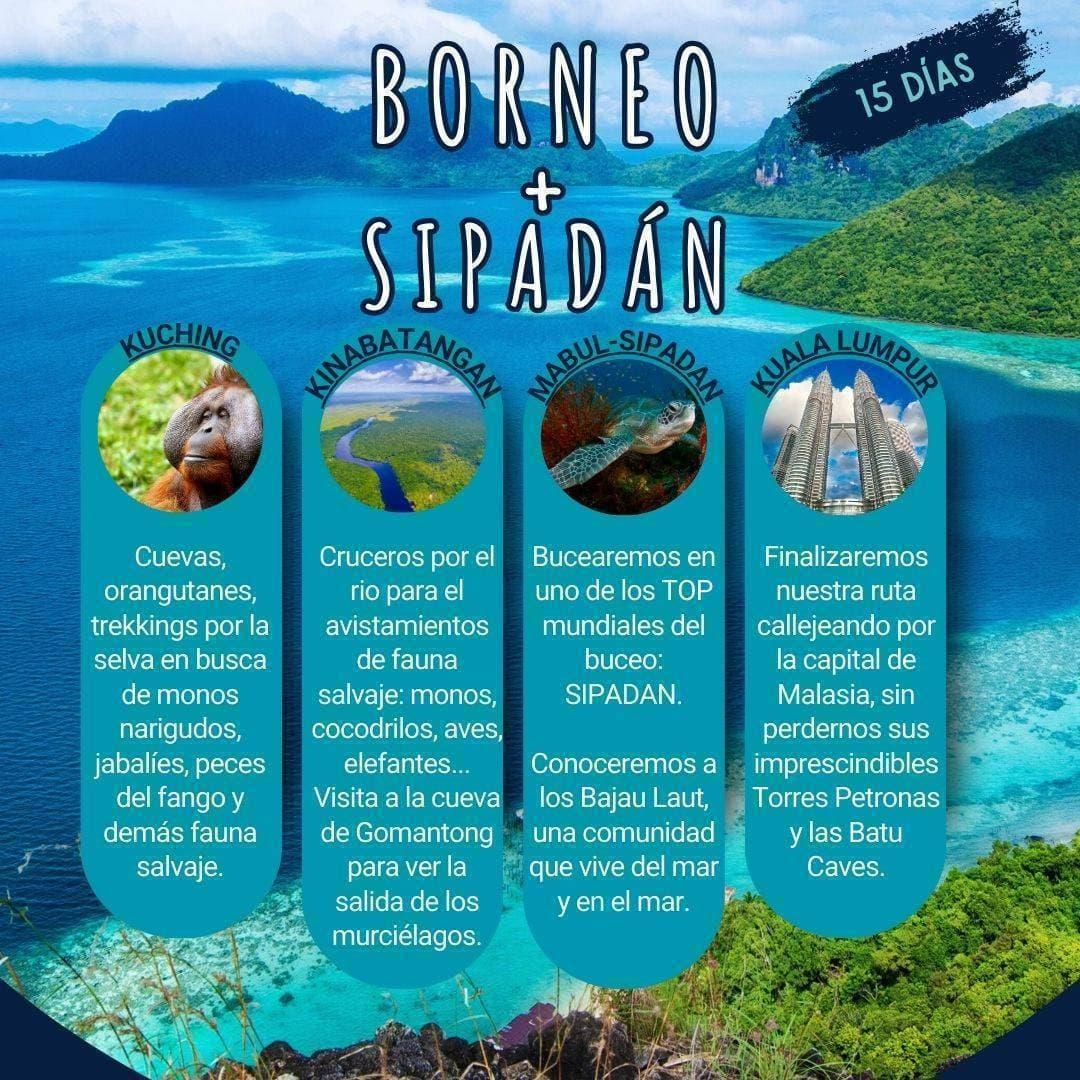 SELVA DE BORNEO + BUCEO EN SIPADAN