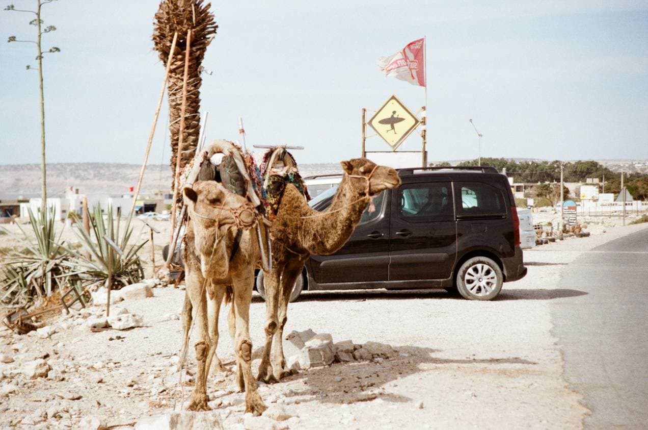 Marruecos: Cuscús y surf